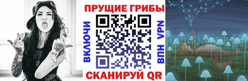 Псилоцибиновые грибы Magic Shrooms  Купить закладки  Кстово 